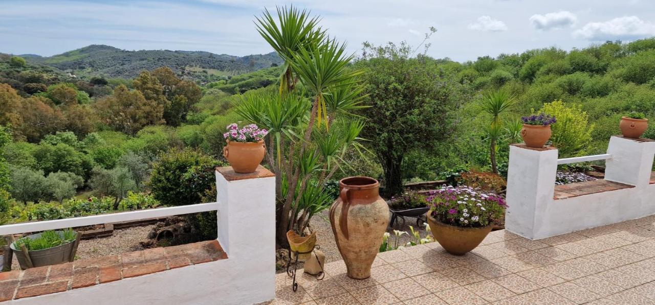 Villa Botero Constantina Kültér fotó