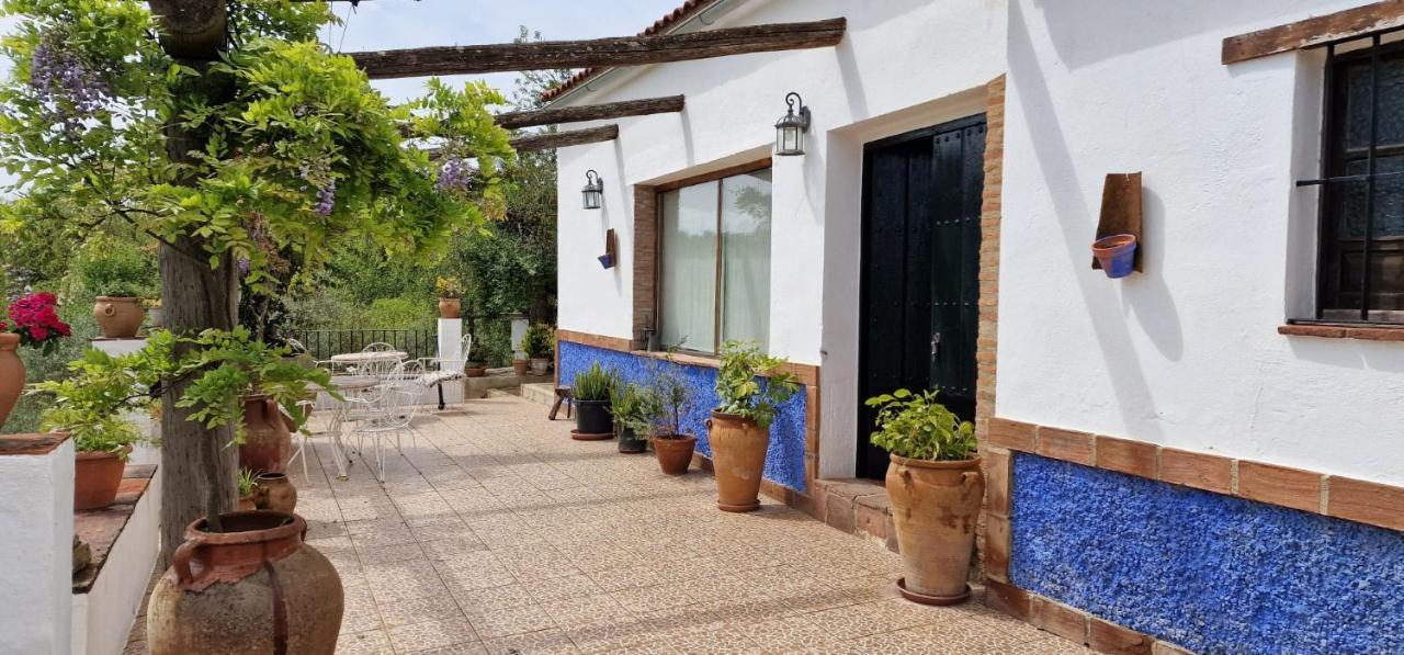 Villa Botero Constantina Kültér fotó